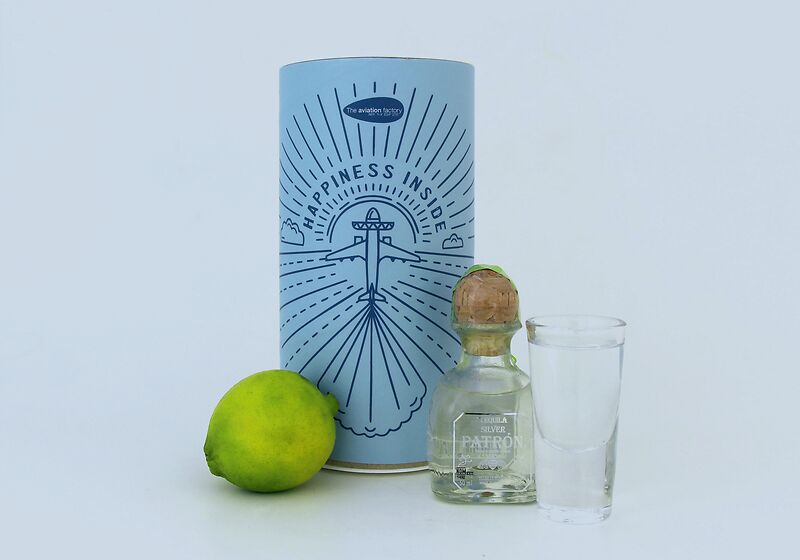 The Aviation Factory